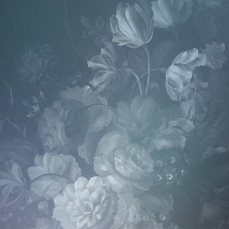 Fotomural Walls by Patel - Dutch pastel 1 - Photo wallpaper with artistic rose motif - Blue