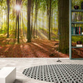 Fotomural XXL 2 - Sonne Im Wald