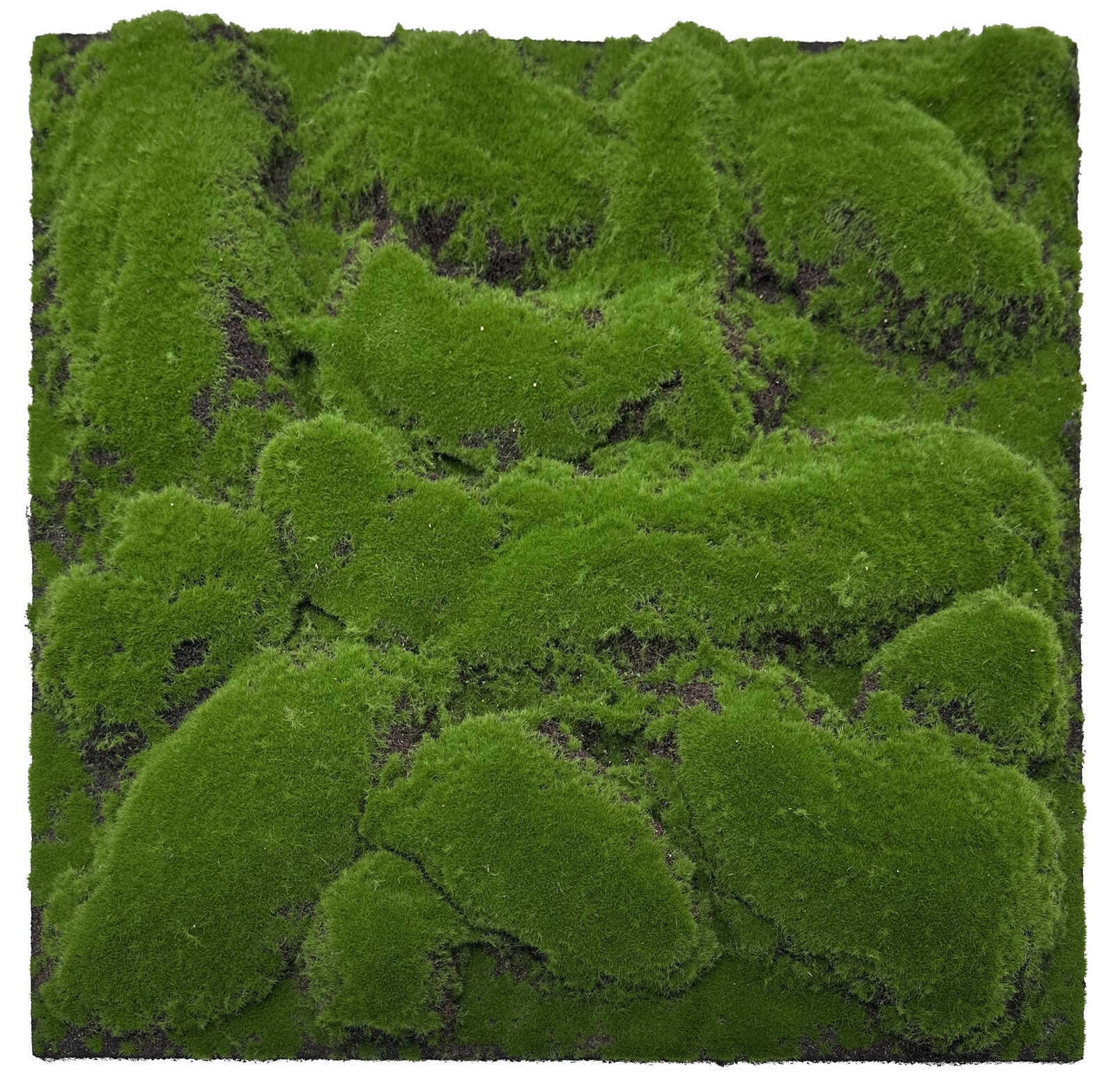 Panel Flora de Diseno Cascade Mixed Flora - Modular Wall - Foto 18