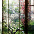 Fotomural Walls by Patel - Orchard 2 - Photo wallpaper, Window with garden view - Green, Pink