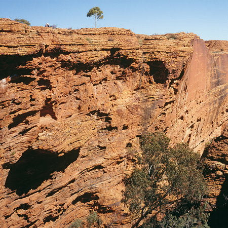 Fotomural Kings Canyon - rock canyon mural - AP Digital 1
