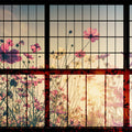 Fotomural Walls by Patel - Meadow 1 - Muntin Window Wallpaper with Flower Meadow - Green, Pink