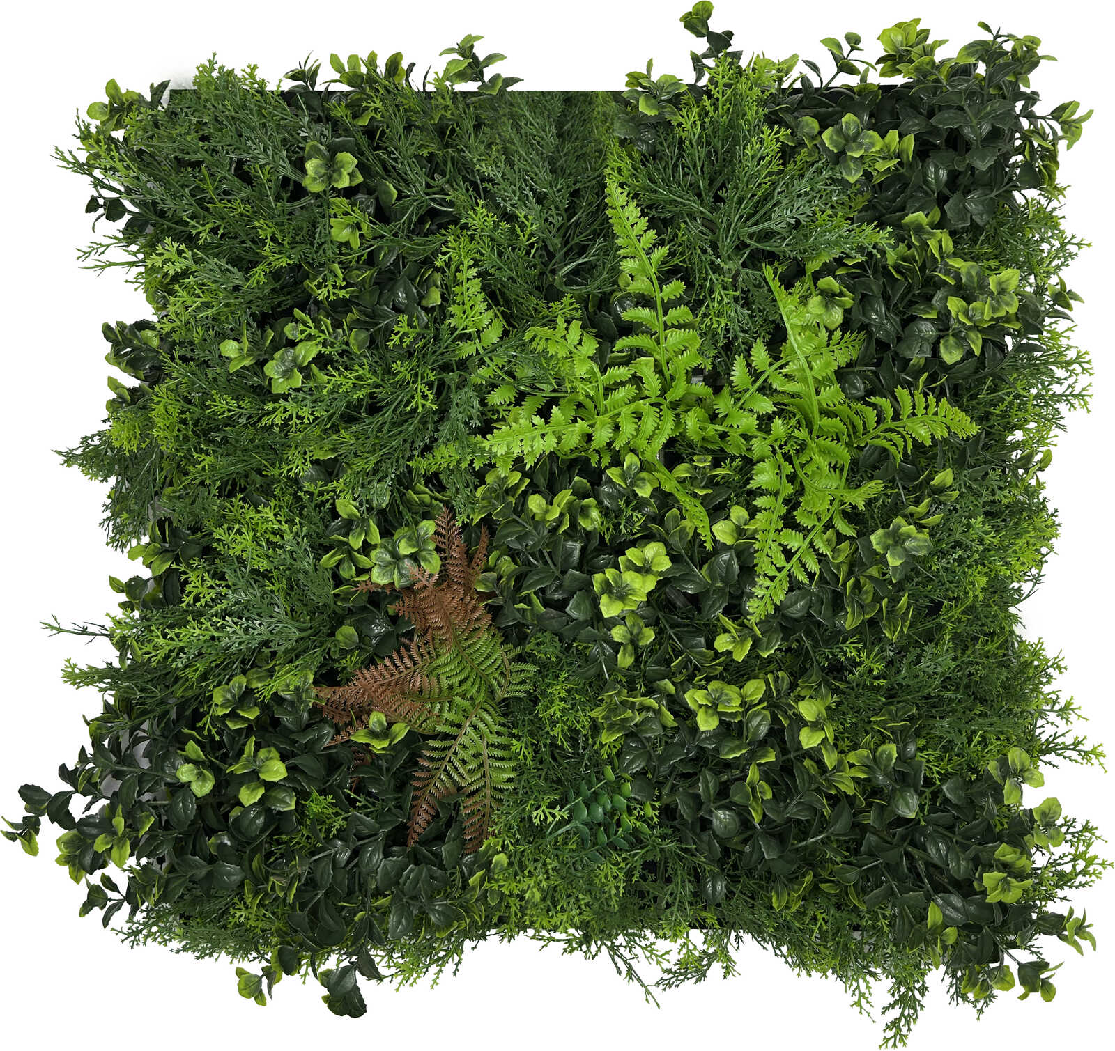 Panel Flora de Diseno Botanic Garden Mixed Flora - Modular Wall - Foto 29