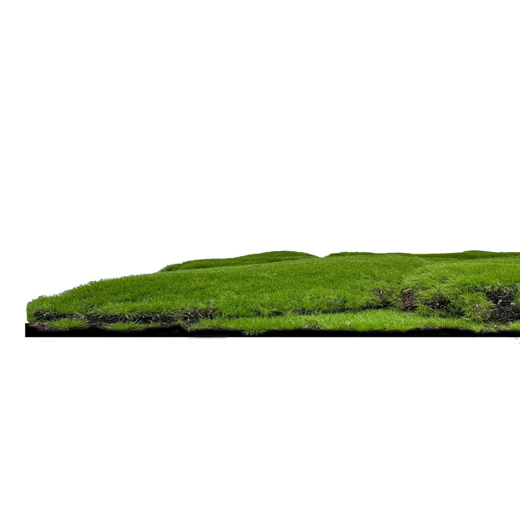 Panel de Musgo de Diseno Forest Green Big Bulk - Modular Wall - Foto 5