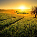 Fotomural XXL 3 - Das Herz Hat