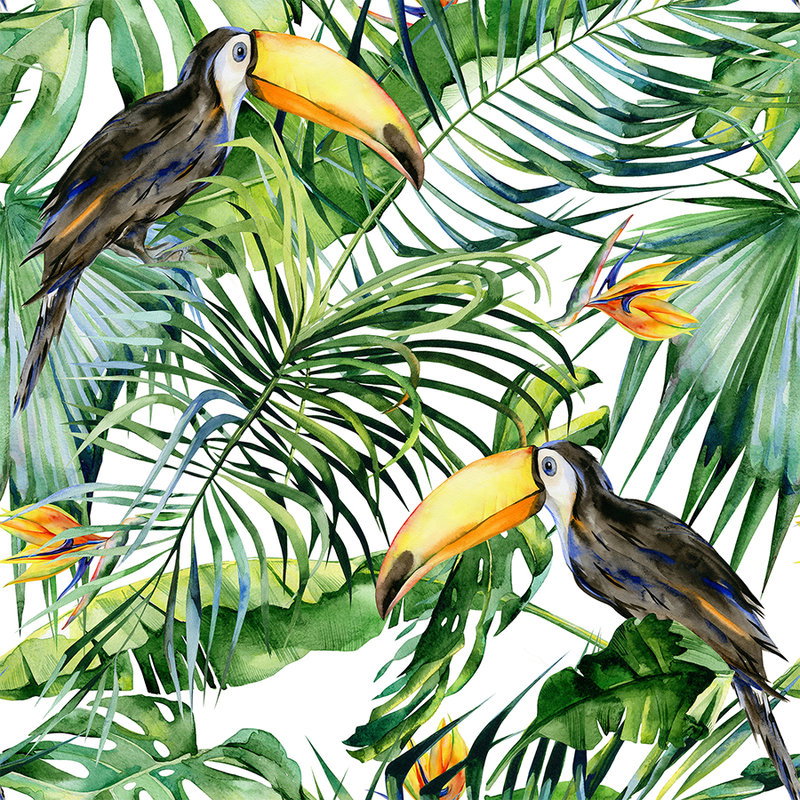 Fotomural Greenery - Toucan 2