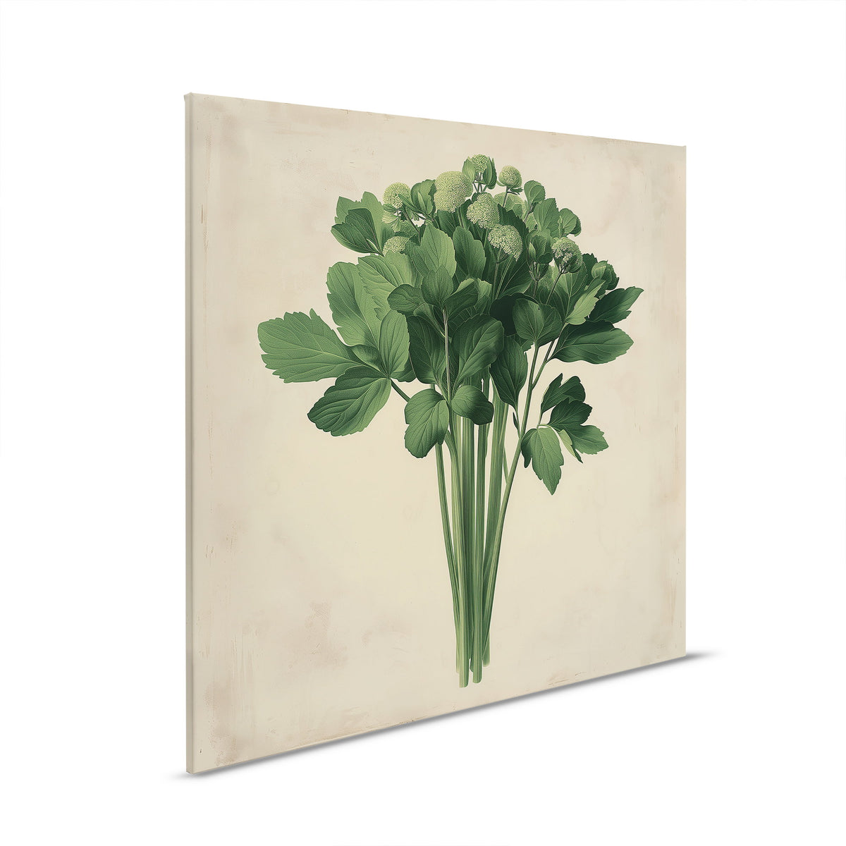 Manojo de apio fresco - Cuadro botánico sobre lienzo ideal para cocina y comedor