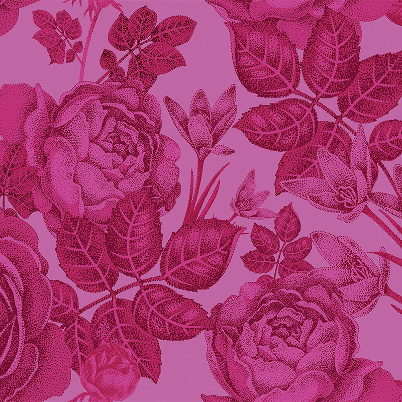 Fotomural Walls by Patel - Floral mural roses on a bush - pink
