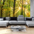 Fotomural Panel XXL 5 - Nature mural with oak forest motif on premium smooth fleece