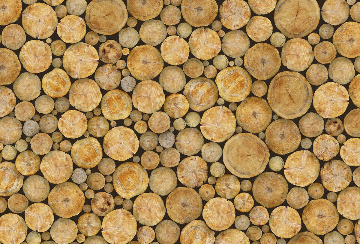 Fotomural DD Motive 2 - Logs