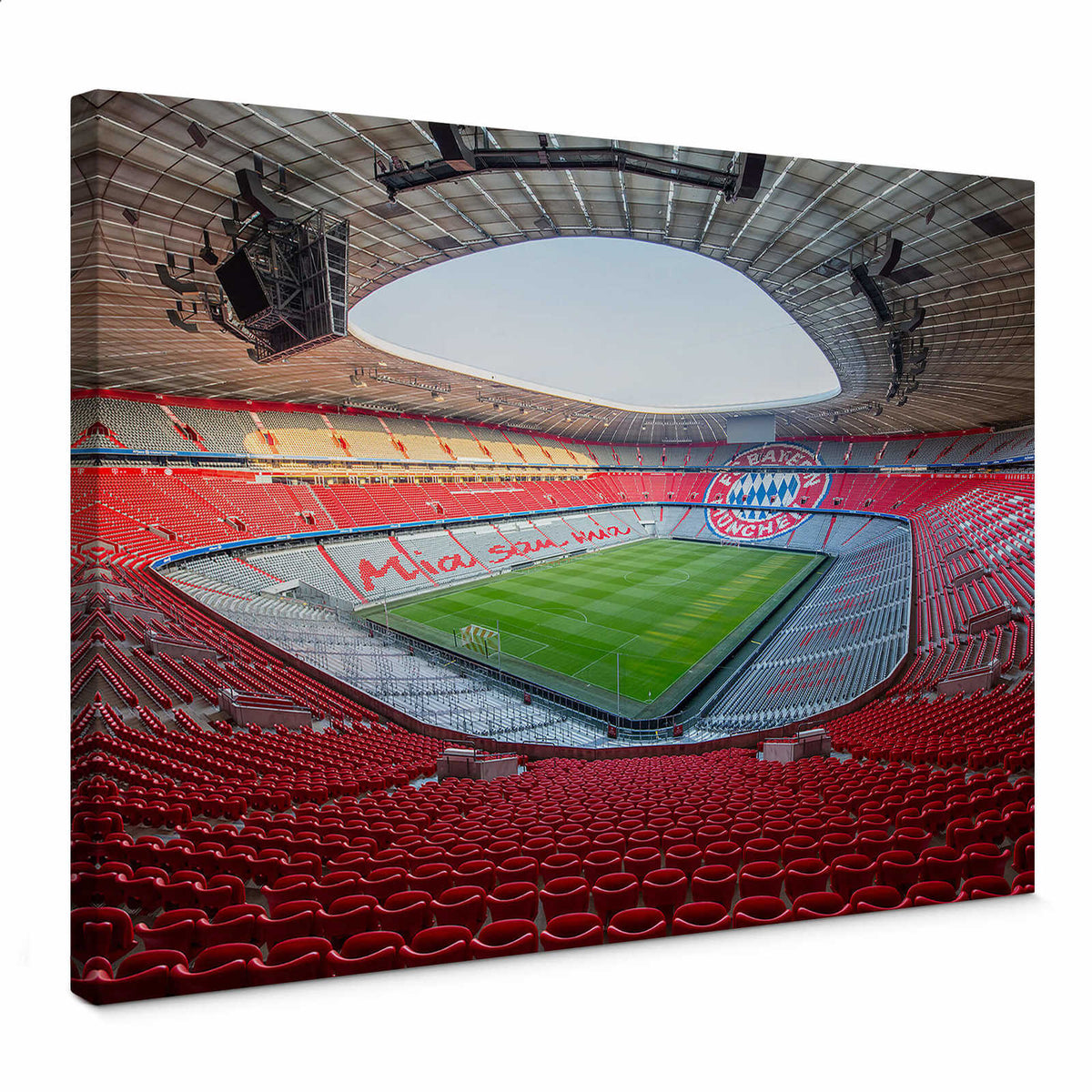 Pintura en lienzo Estadio del FC Bayern