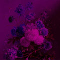Fotomural Walls by Patel - Neon mural with flowers still life - purple, pink