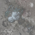 Fotomural Walls by Patel - Vintage style floral bouquet mural - blue, grey