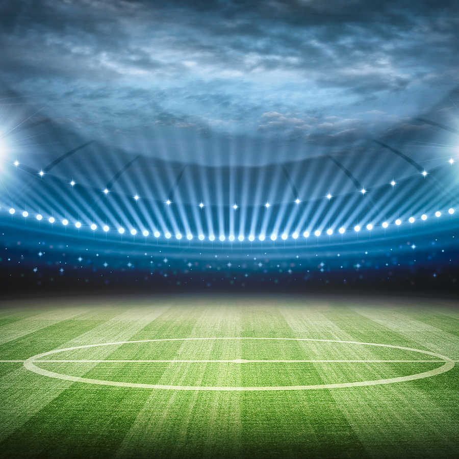 Fotomural Panel XXL 5 - Sports mural stadium motif on premium smooth nonwoven