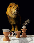 Fotomural Lion - animal portrait mural - XXL 3
