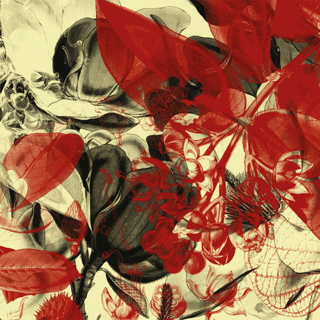 Fotomural Flowers mural with botanical motifs - AP Digital 1