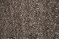 Fotomural Bark wall on photo wallpaper - Brown, Grey - DD Motive 2