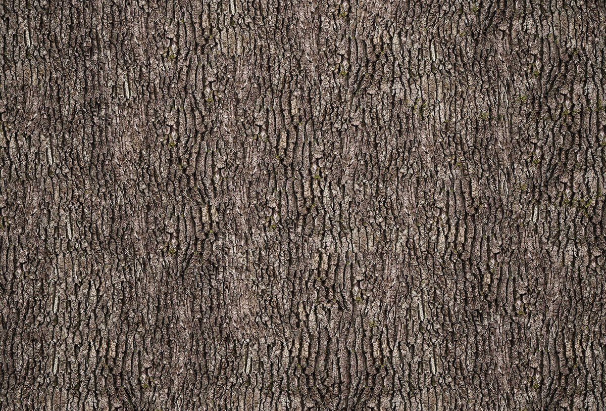 Fotomural Bark wall on photo wallpaper - Brown, Grey - DD Motive 2
