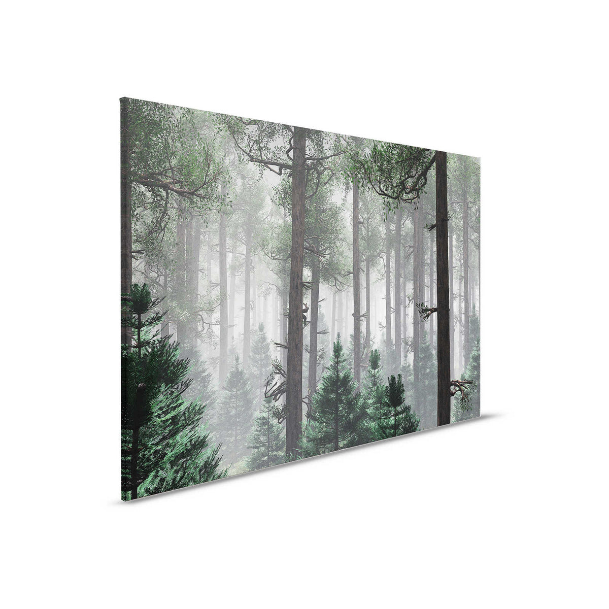 Cuadro Bosque en la niebla con grandes árboles