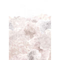 Fotomural DAYDREAMERS RB315 - Imagen 1