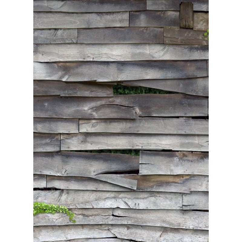 Fotomural ZOOM 222810 - Imagen 1