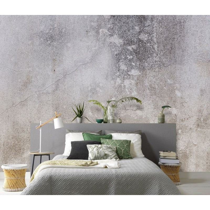Fotomural ZOOM 225110 - Imagen 2