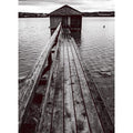 Fotomural ZOOM 2534N81 - Imagen 1