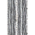 35395 Timber Marburg Papel pintado - Foto 1