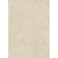1041802 Play of Light Erismann