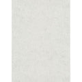 1041831 Play of Light Erismann
