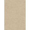1041832 Play of Light Erismann