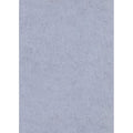 1041843 Play of Light Erismann
