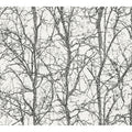 Papel Pintado AS Creation - 791911 Attractive 3 AS-Creation - Foto 1