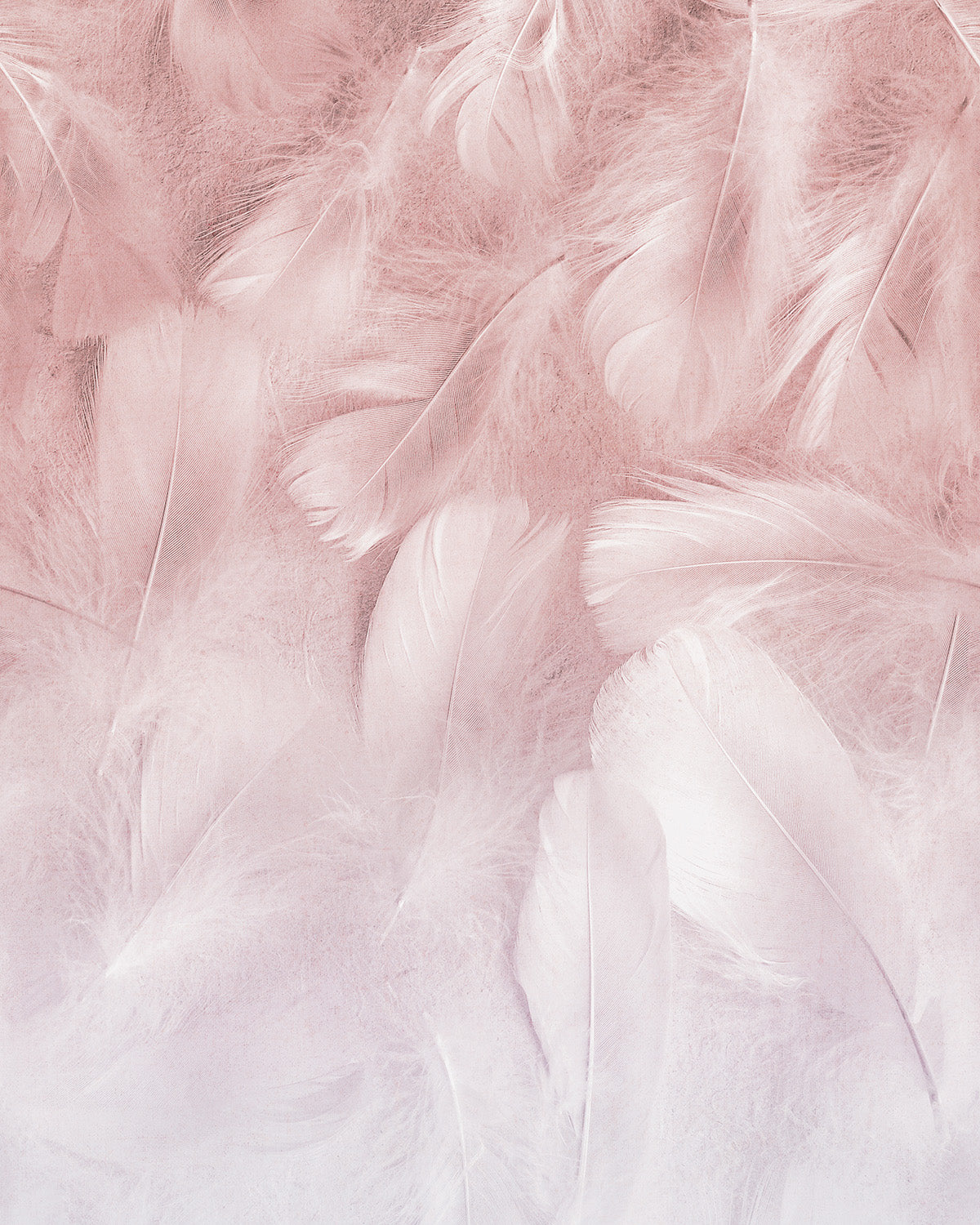 Papel Pintado Grandeco Young Edition - ML1001 - Imagen 1