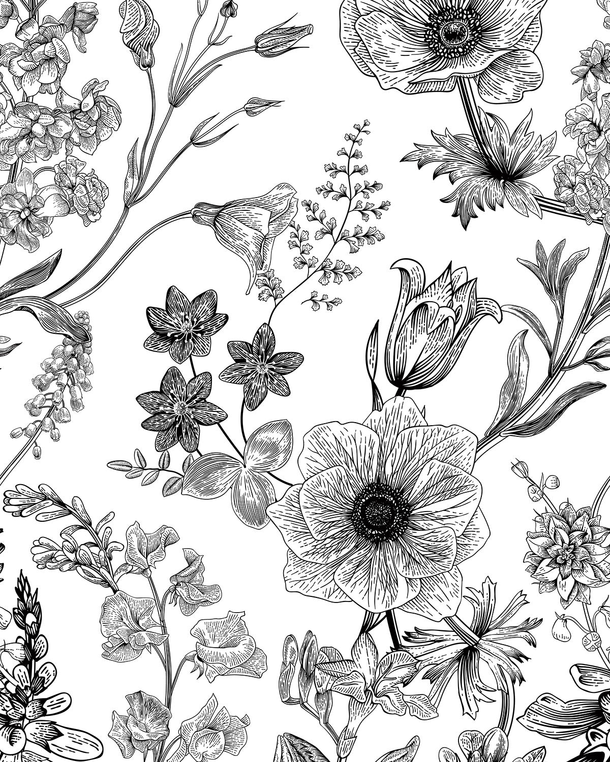 Papel Pintado Grandeco Young Edition - ML1601 - Imagen 1
