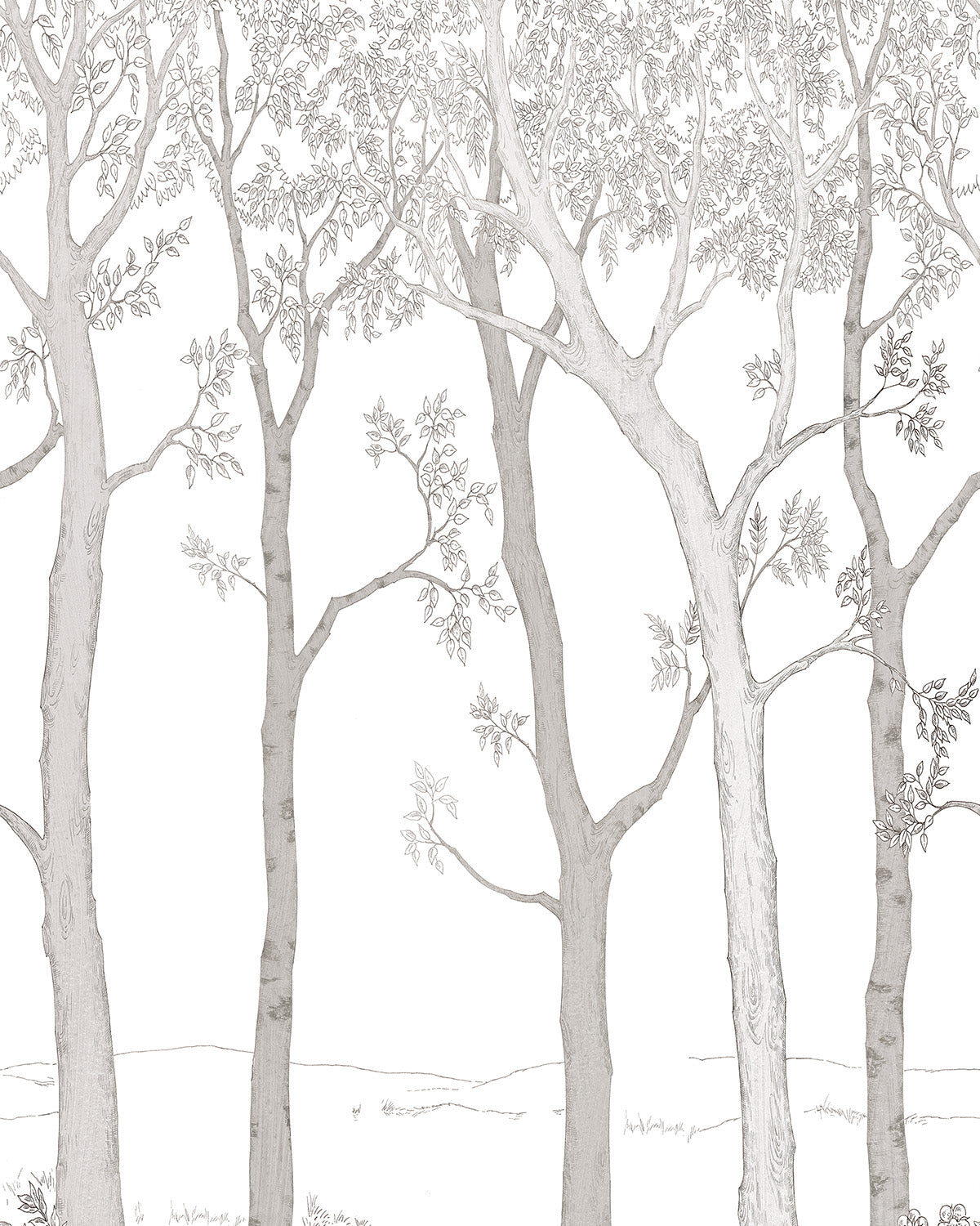 Papel Pintado Grandeco Young Edition - ML1701 - Imagen 1