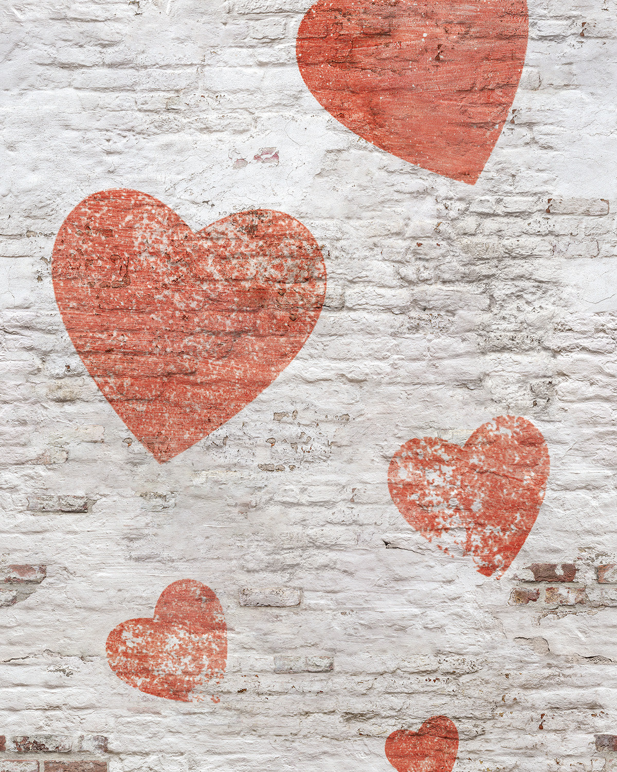 Papel Pintado Grandeco Young Edition - ML2301 - Imagen 1