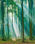Papel Pintado Grandeco Young Edition - ML6301 - Imagen 1