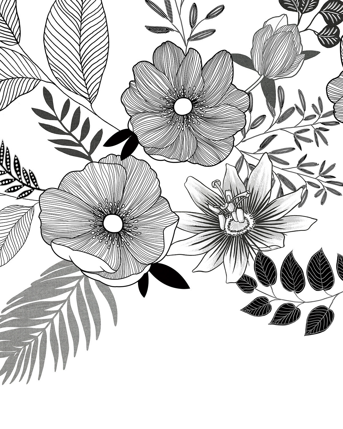 Papel Pintado Grandeco Young Edition - ML6701 - Imagen 1