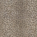 Papel pintado Animal print Philipp Plein 6380038 - Imagen 1