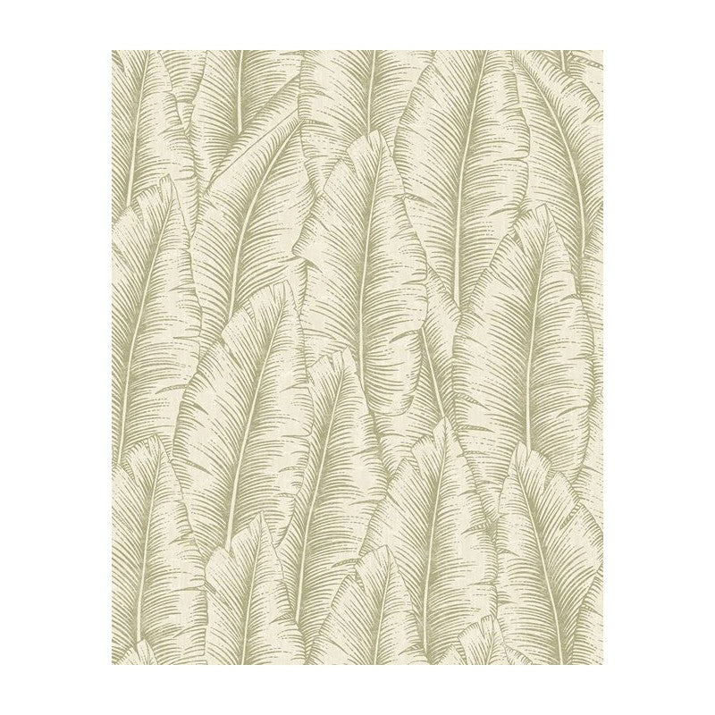 Papel Pintado CUMARU CU3203 - Imagen 1