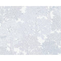 Papel Pintado FLORAL IMPRESSIONS 377536 - Imagen 1