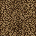 Papel Pintado Philipp Plein 2 - Z81029 Zambaiti Parati - Foto 1