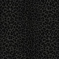Papel Pintado Philipp Plein 2 - Z81031 Zambaiti Parati - Foto 1