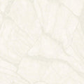 Papel Pintado Philipp Plein 2 - Z81042 Zambaiti Parati - Foto 1