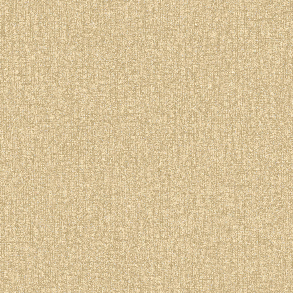 Papel Pintado Grandeco Surfaces - SF1117 - Imagen 1